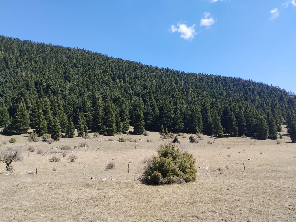 ELGO-DIMITRA Meeting with Arcadia Forest Authorities