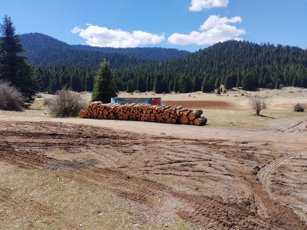 ELGO-DIMITRA Meeting with Arcadia Forest Authorities